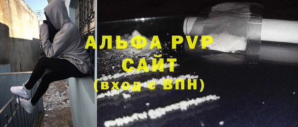 мдпв Новозыбков