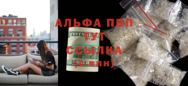 мдпв Новозыбков