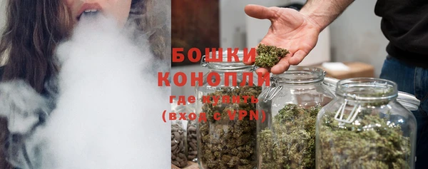 мдпв Новозыбков