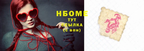 мдпв Новозыбков