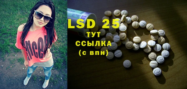 мдпв Новозыбков