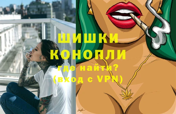 мдпв Новозыбков