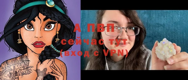 гашик Новокубанск