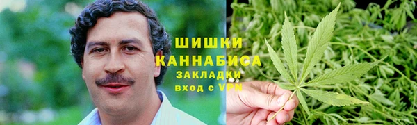 мдпв Новозыбков